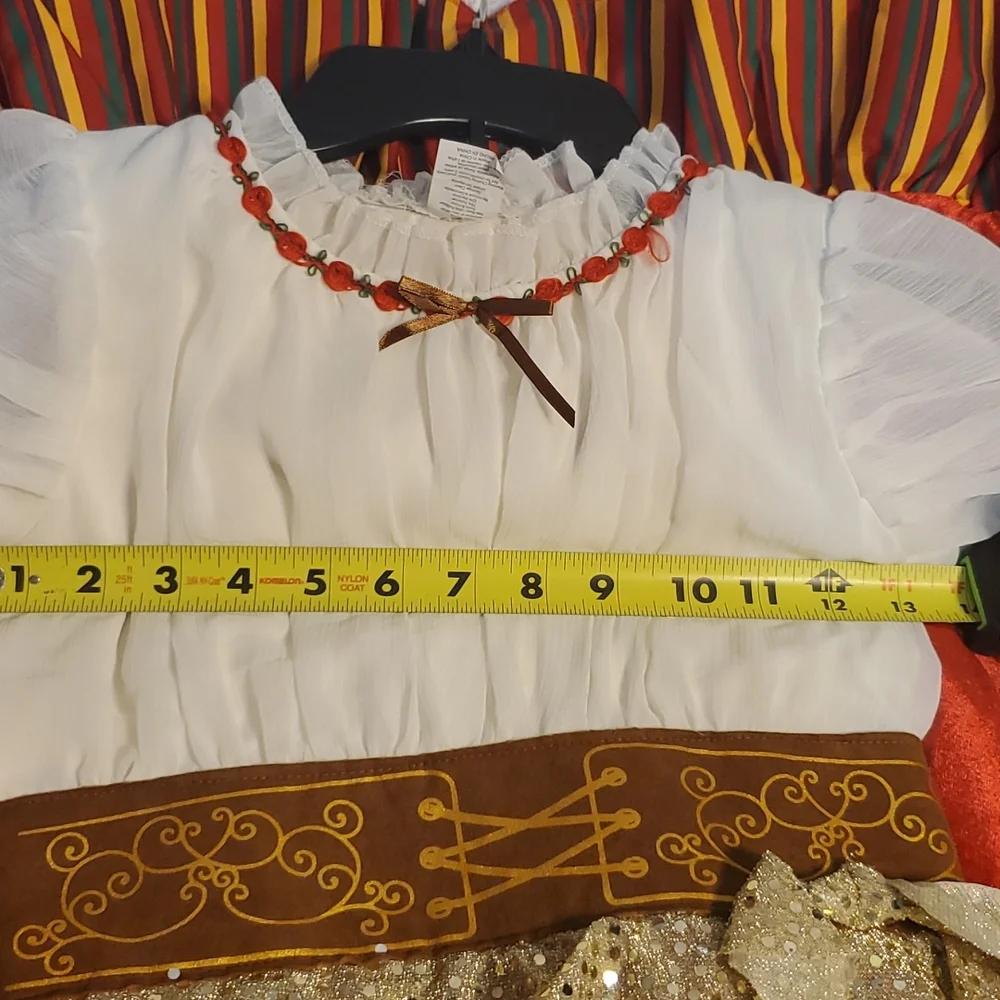 Halloween Costume or Dress Up‎